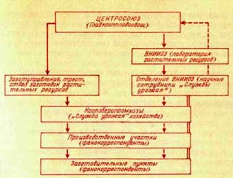 Схема организации «Служба урожая»